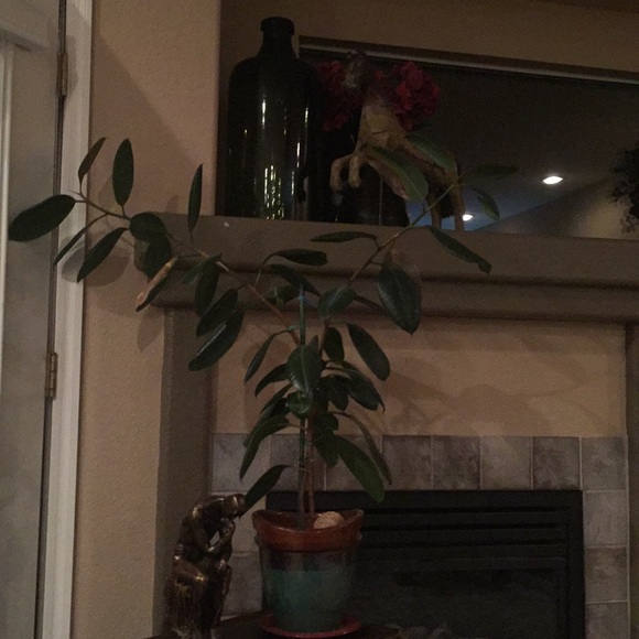 Meet your Posher, Val - Picture 1 of 1